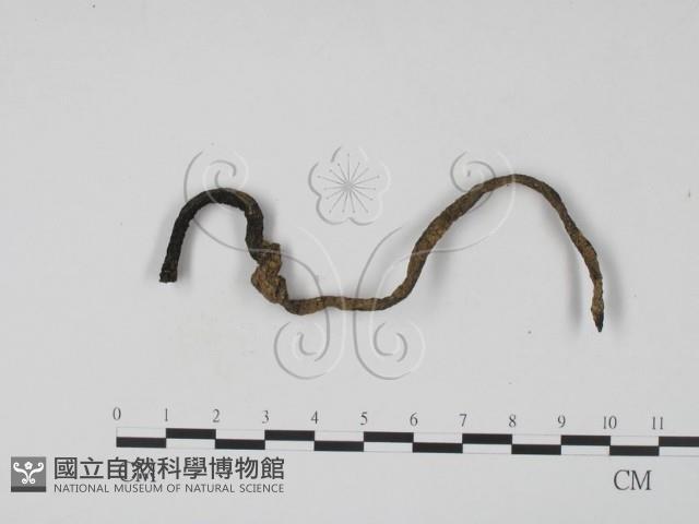 登錄號:F0005160藏品圖，第3張