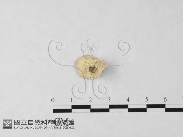 登錄號:F0024060藏品圖，第3張