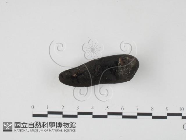 登錄號:F0004060藏品圖，第3張