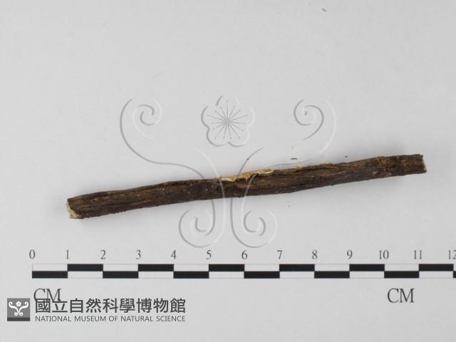 登錄號:F0013360藏品圖，第3張