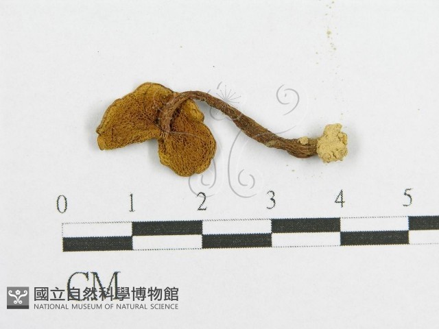 登錄號:F0011220藏品圖，第3張
