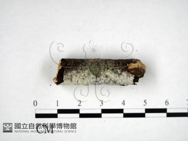 登錄號:F0022220藏品圖，第3張