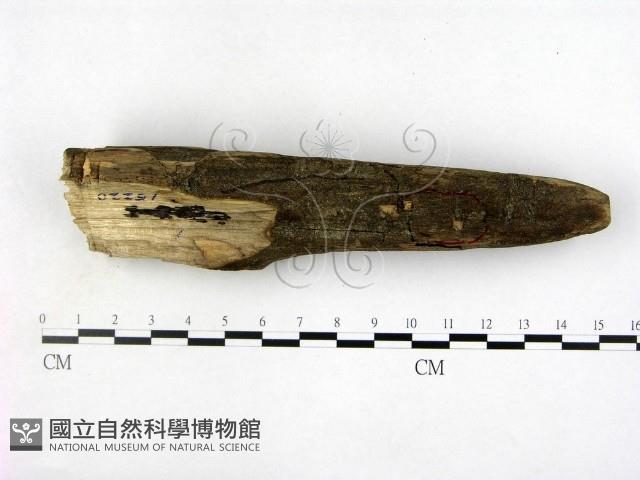 登錄號:F0015220藏品圖，第3張