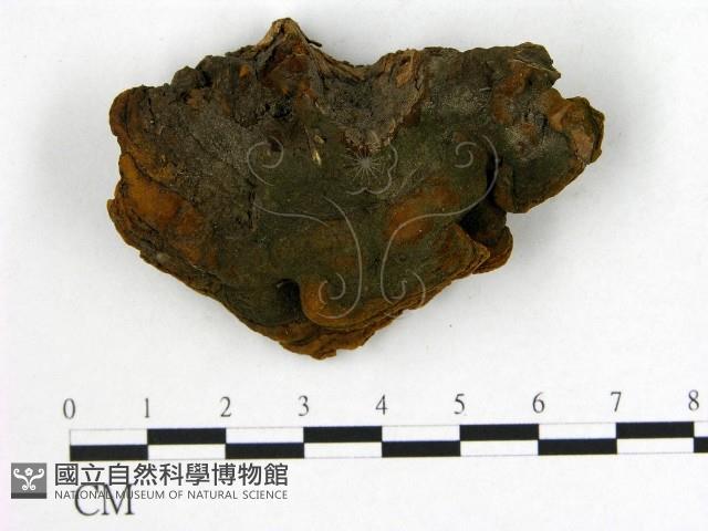 登錄號:F0018820藏品圖，第3張