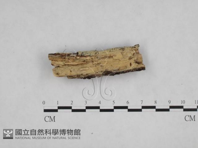 Accession Number:F0024820 Collection Image, Figure 3, Total 3 Figures