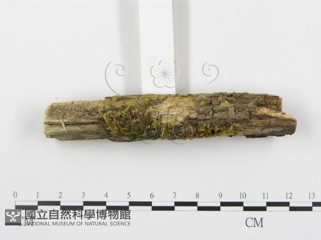 登錄號:F0003920藏品圖，第3張