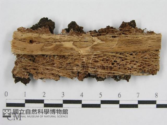 登錄號:F0004620藏品圖，第3張