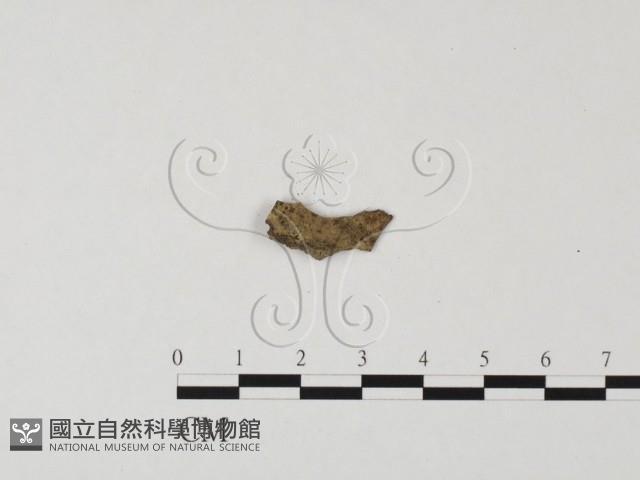 登錄號:F0012420藏品圖，第3張