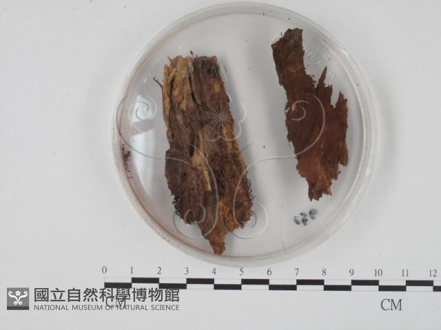 登錄號:F0003420藏品圖，第3張