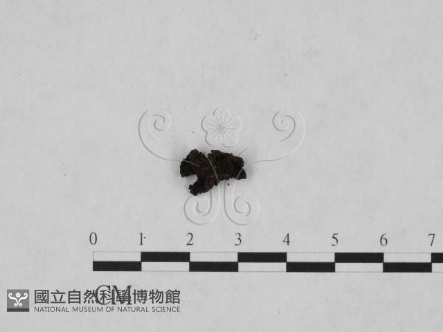 登錄號:F0019720藏品圖，第3張