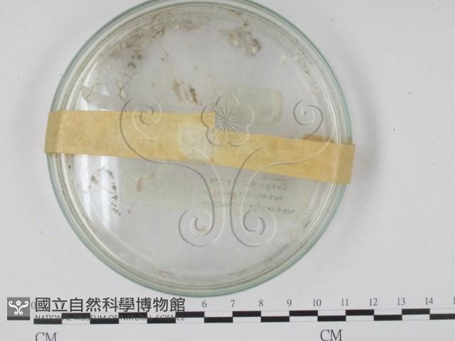 登錄號:F0018120藏品圖，第3張