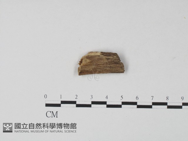 登錄號:F0004120藏品圖，第3張