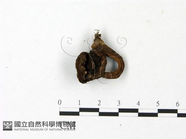 登錄號:F0023020藏品圖，第3張