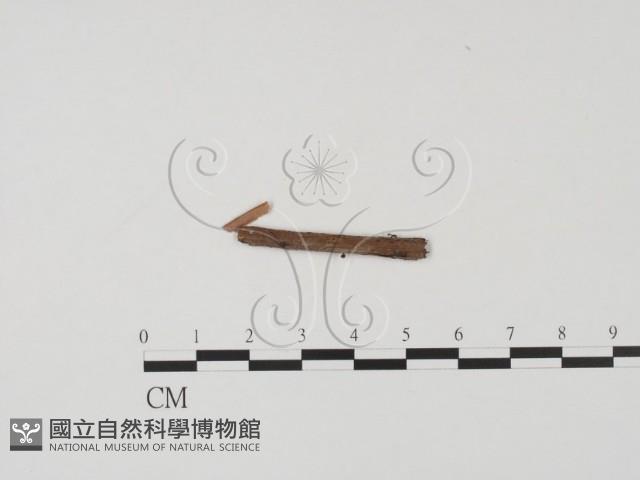 登錄號:F0009320藏品圖，第3張