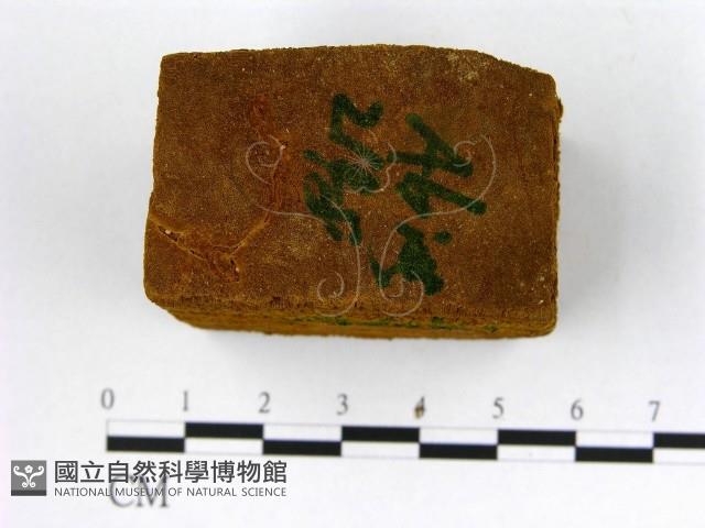 登錄號:F0006200藏品圖，第3張