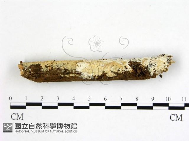 登錄號:F0022200藏品圖，第3張