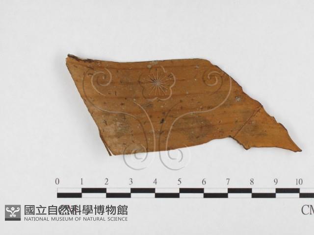 登錄號:F0026800藏品圖，第3張