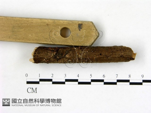 登錄號:F0009800藏品圖，第3張
