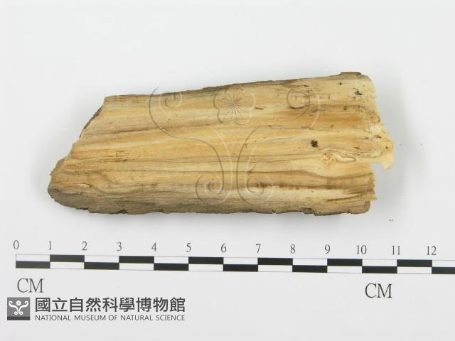 登錄號:F0000900藏品圖，第3張