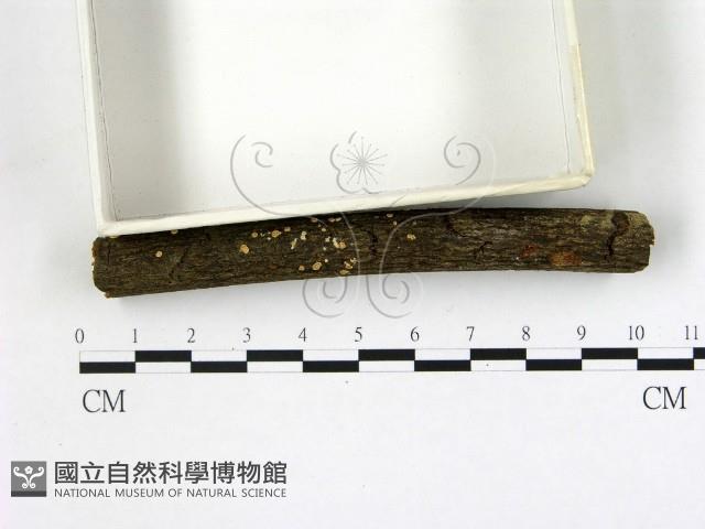 登錄號:F0001900藏品圖，第3張