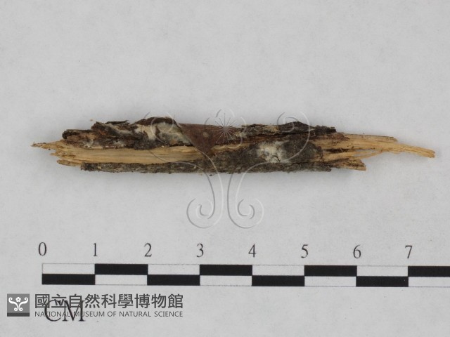 登錄號:F0024900藏品圖，第3張