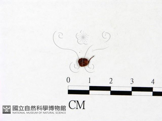 登錄號:F0022900藏品圖，第3張