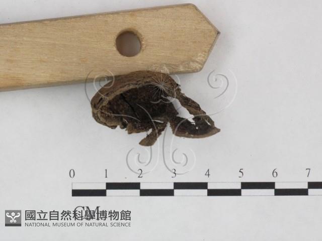 登錄號:F0025900藏品圖，第3張