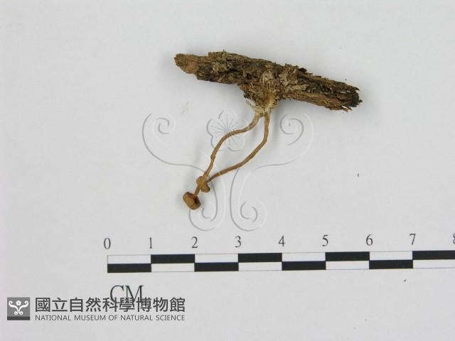 登錄號:F0015900藏品圖，第3張