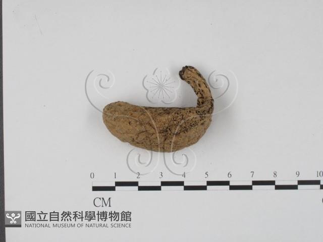 登錄號:F0002600藏品圖，第3張