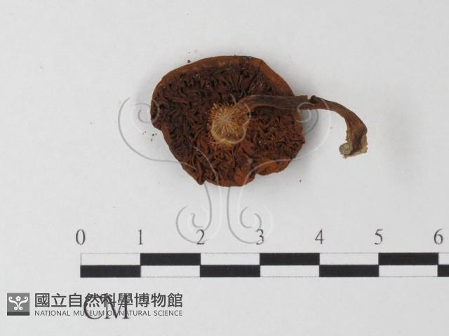 登錄號:F0023600藏品圖，第3張