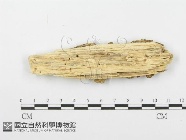 登錄號:F0000400藏品圖，第3張