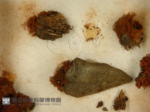 登錄號:F0021400藏品圖，第3張