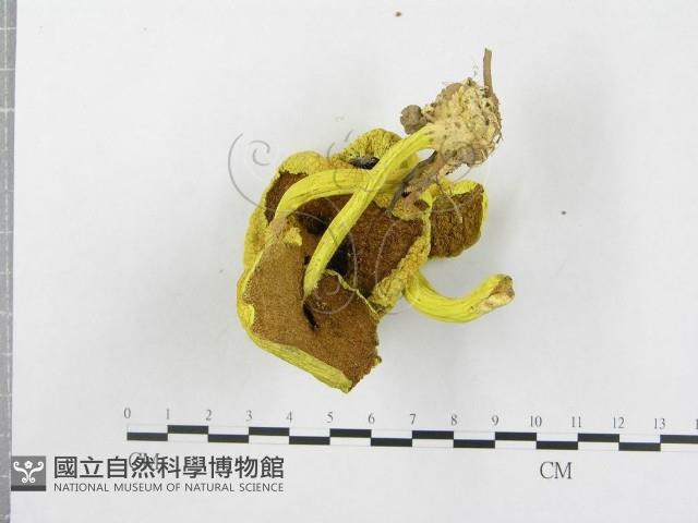 登錄號:F0004400藏品圖，第3張