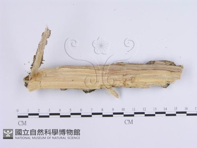 登錄號:F0002400藏品圖，第3張