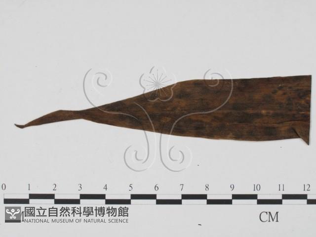 登錄號:F0009400藏品圖，第3張