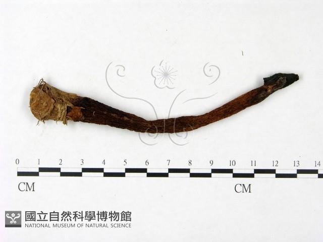 登錄號:F0023400藏品圖，第3張