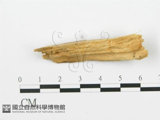 登錄號:F0016700藏品圖，第3張
