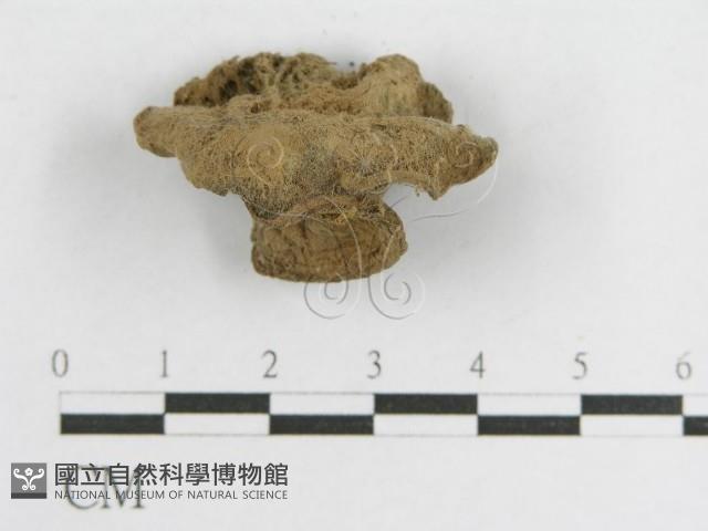 登錄號:F0001700藏品圖，第3張