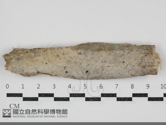 登錄號:F0034700藏品圖，第3張
