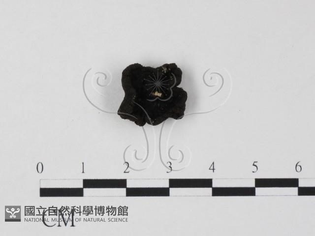 登錄號:F0007700藏品圖，第3張