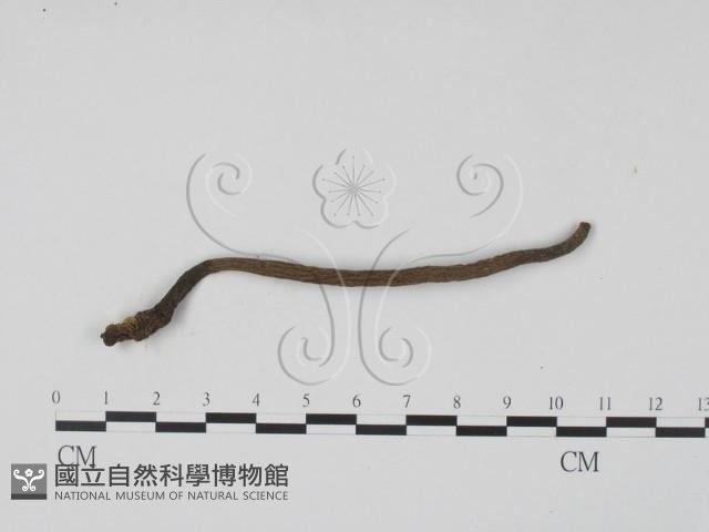 登錄號:F0019700藏品圖，第3張