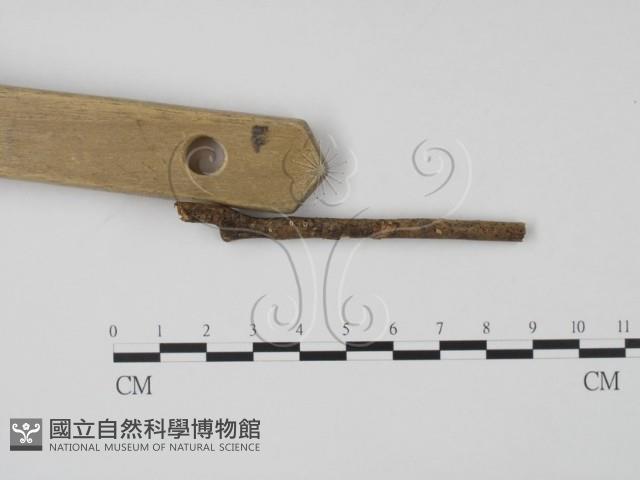 登錄號:F0003700藏品圖，第3張