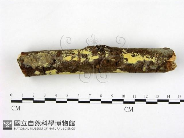 登錄號:F0002500藏品圖，第3張