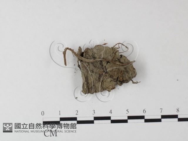 登錄號:F0023500藏品圖，第3張