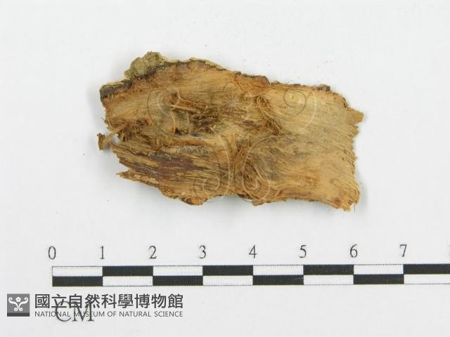 登錄號:F0020100藏品圖，第3張