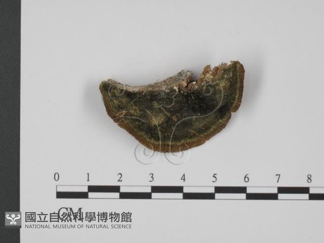 登錄號:F0016000藏品圖，第3張