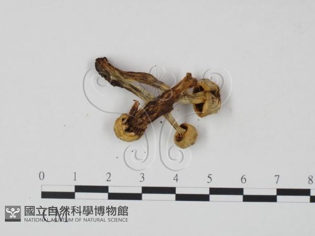 登錄號:F0022000藏品圖，第3張