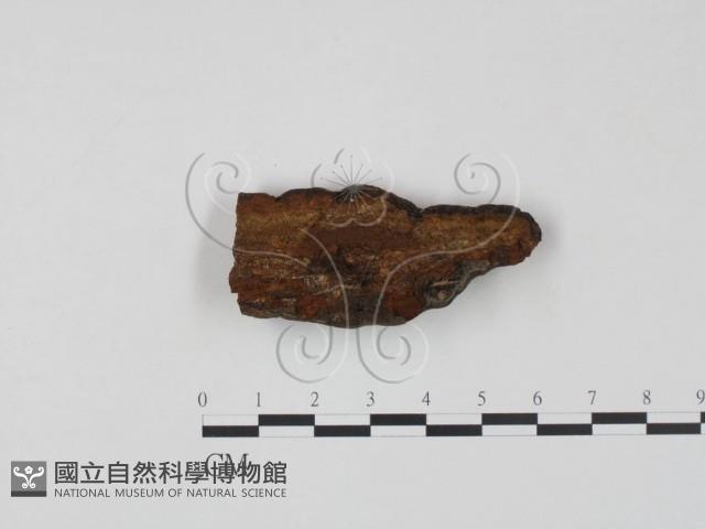 登錄號:F0007210藏品圖，第3張