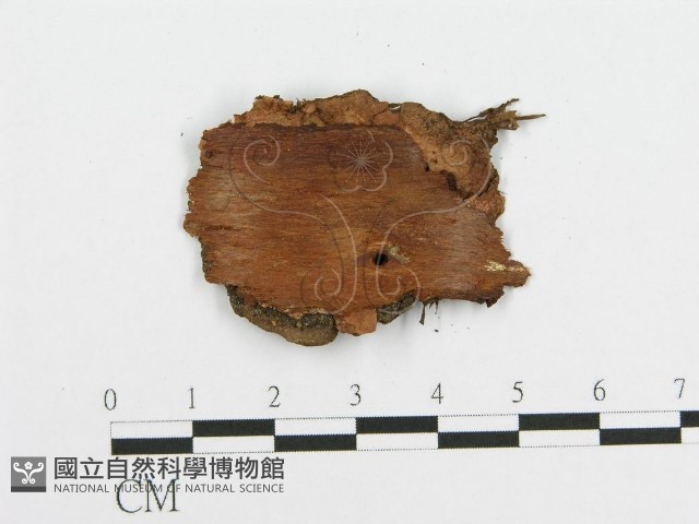登錄號:F0003210藏品圖，第3張