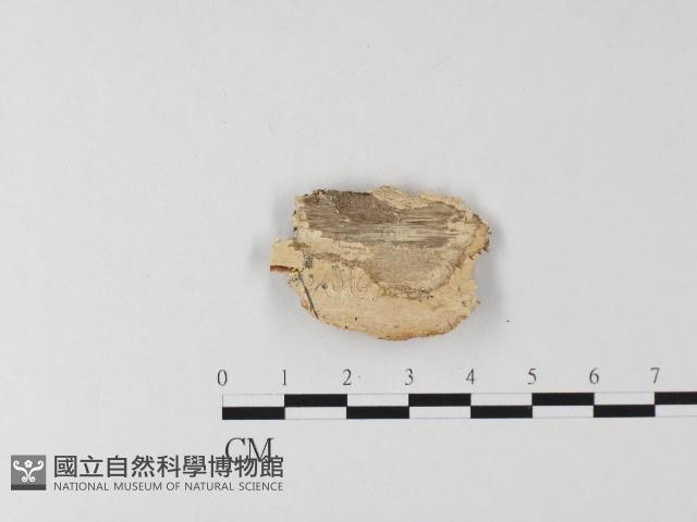 登錄號:F0006810藏品圖，第3張